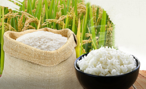 Dịch vụ vận chuyển gạo đi Trung Quốc an toàn số 1
