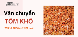 Vận Chuyển Tôm Khô Từ Việt Nam Sang Trung Quốc: Hướng Dẫn Chi Tiết Và Lưu Ý