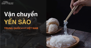 Gửi Yến Sào Đi Trung Quốc An Toàn Nhất: Bí Quyết Cho Doanh Nghiệp Và Cá Nhân