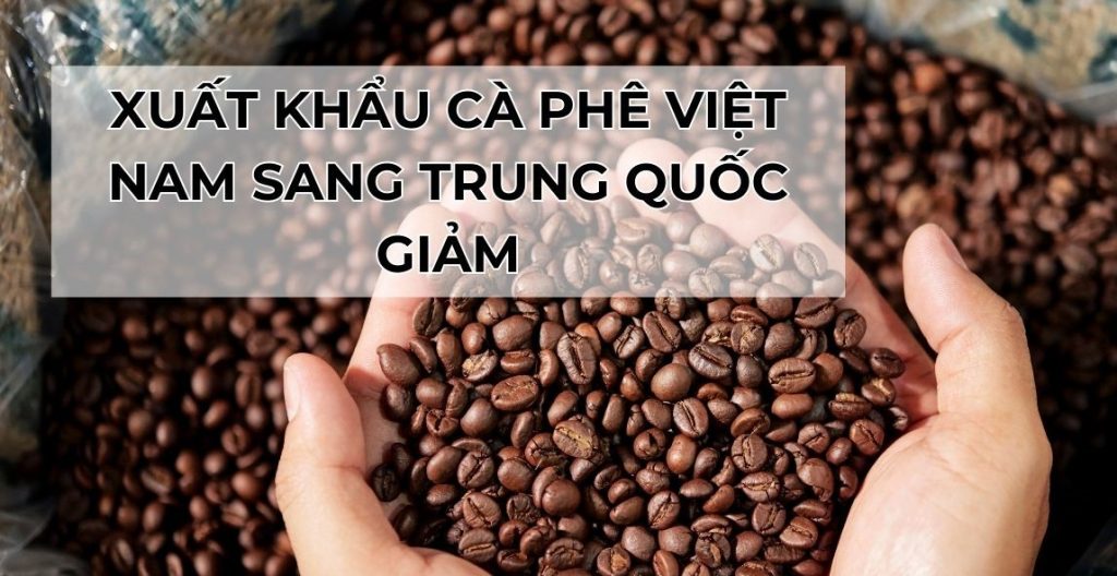 XUẤT KHẨU CÀ PHÊ VIỆT NAM SANG TRUNG QUỐC