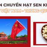 Vận chuyển hạt sen Việt Nam - Trung Quốc