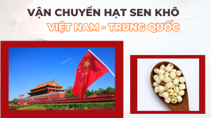 Vận chuyển hạt sen Việt Nam - Trung Quốc