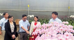 Lâm Đồng: Vùng Đất Hoa Rực Rỡ Chinh Phục Thị Trường Trung Quốc Của Vận Tải Trung Việt