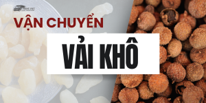 Vận chuyển vải khô đi Trung Quốc