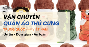 Vận chuyển quần áo thú cưng từ Trung Quốc về Việt Nam