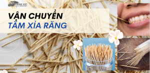 Vận chuyển tăm xỉa răng từ Việt Nam đi Trung Quốc