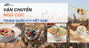 Vận chuyển ngũ cốc từ Việt Nam sang Trung Quốc