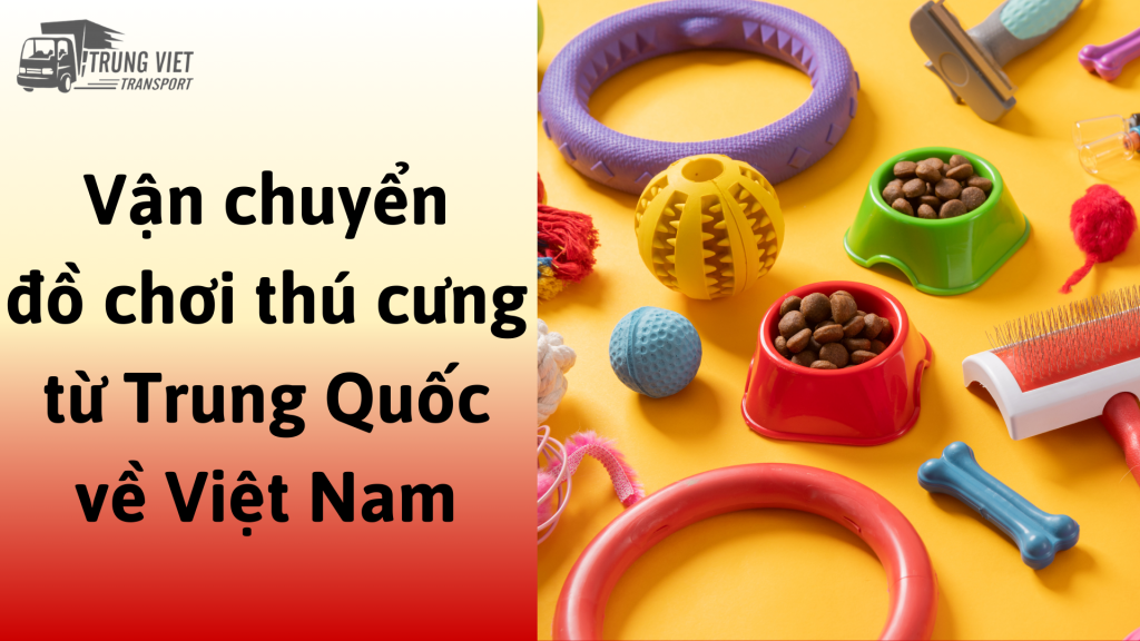 Dịch vụ vận chuyển đồ chơi thú cưng từ Trung Quốc về Việt Nam