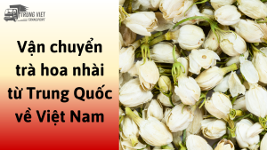Dịch vụ vận chuyển trà hoa nhài từ Trung Quốc về Việt Nam
