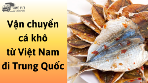 Dịch vụ vận chuyển cá khô từ Việt Nam đi Trung Quốc