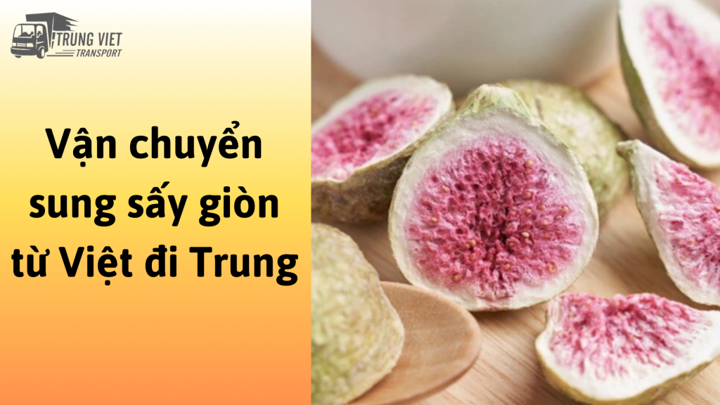 Dịch vụ vận chuyển sung sấy giòn từ Việt Nam đi Trung Quốc