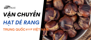 Vận chuyển hạt dẻ rang từ Trung Quốc về Việt Nam