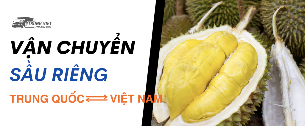 Vận chuyển sầu riêng đi Trung Quốc