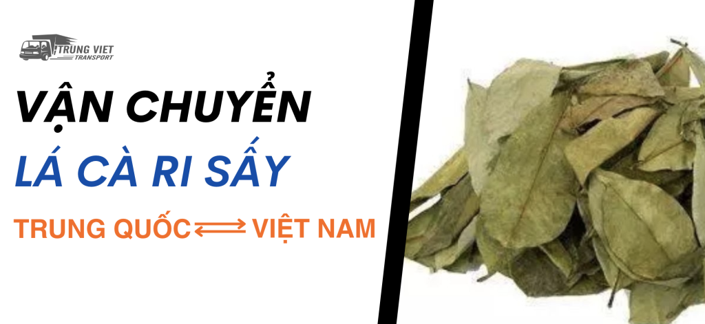 Gửi lá cà ri sấy sang Trung Quốc cho người thân