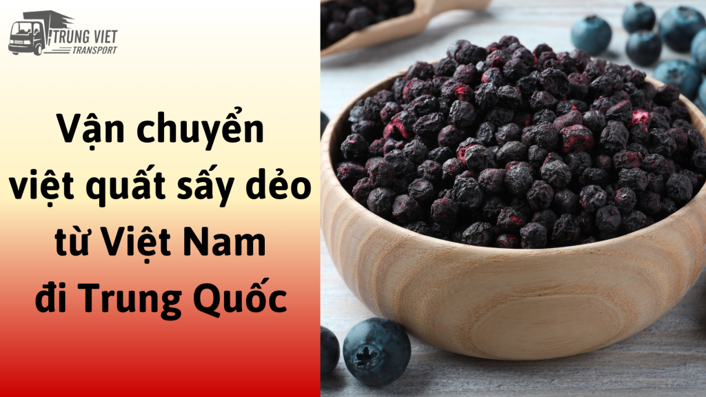 Dịch vụ vận chuyển việt quất sấy dẻo từ Việt Nam đi Trung Quốc