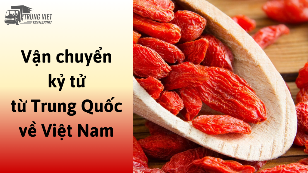 Dịch vụ vận chuyển kỷ tử từ Trung Quốc về Việt Nam