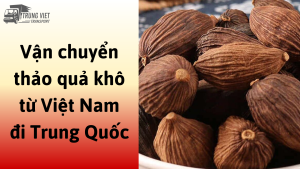 Dịch vụ vận chuyển thảo quả khô từ Việt Nam đi Trung Quốc