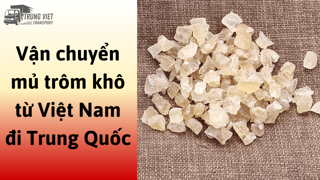 Dịch vụ vận chuyển mủ trôm khô từ Việt Nam đi Trung Quốc