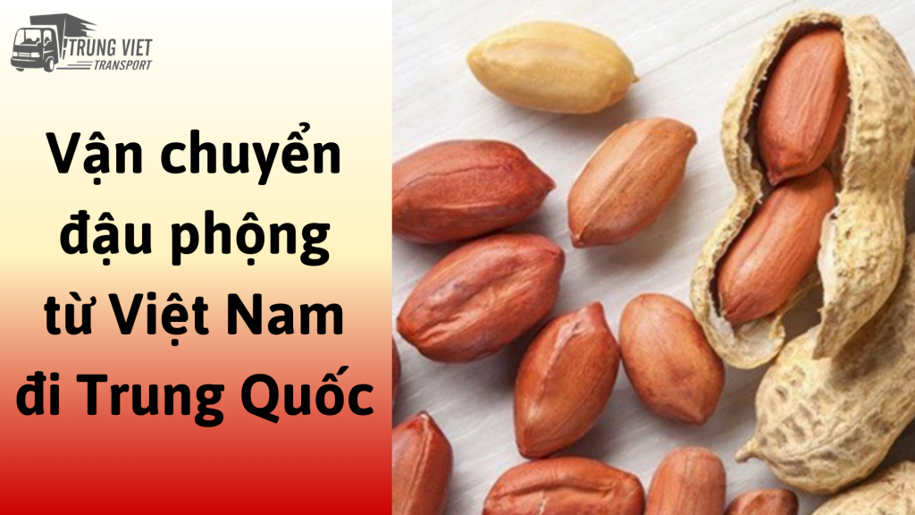 Dịch vụ vận chuyển đậu phộng từ Việt Nam đi Trung Quốc