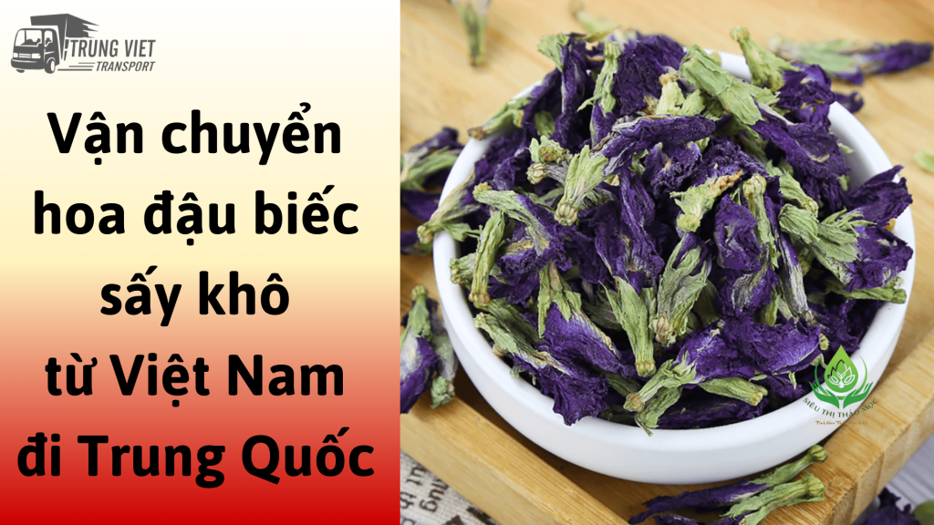 Dịch vụ vận chuyển hoa đậu biếc sấy khô từ Việt Nam đi Trung Quốc