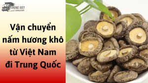 Dịch vụ vận chuyển nấm hương khô từ Việt Nam đi Trung Quốc