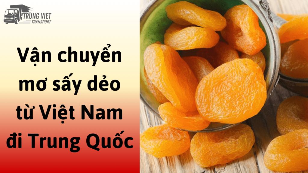 Dịch vụ vận chuyển mơ sấy dẻo từ Việt Nam đi Trung Quốc