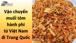 Dịch vụ vận chuyển muối tôm hành phi từ Việt Nam đi Trung Quốc