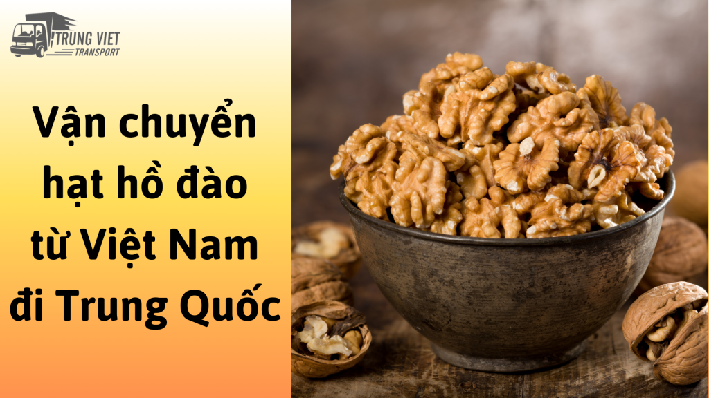 Dịch vụ vận chuyển hạt hồ đào từ Việt Nam đi Trung Quốc