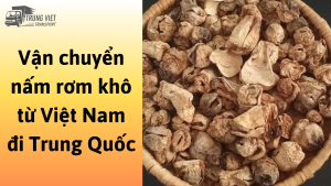 Dịch vụ vận chuyển nấm rơm khô từ Việt Nam đi Trung Quốc