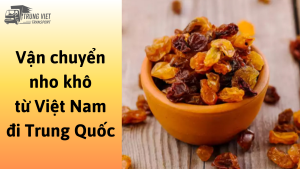 Dịch vụ vận chuyển nho khô từ Việt Nam đi Trung Quốc