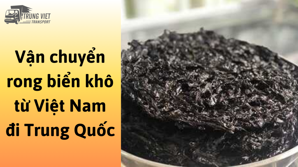 Dịch vụ vận chuyển rong biển khô từ Việt Nam đi Trung Quốc