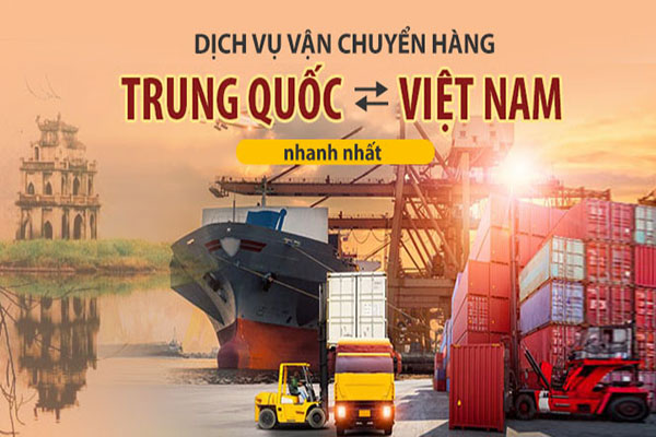 VẬN CHUYỂN TỔ YẾN TỪ VIỆT NAM ĐI TRUNG QUỐC