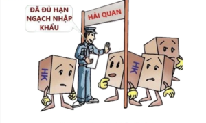 Hạn ngạch xuất khẩu của hàng hoá là gì