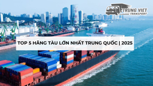 TOP 5 HÃNG TÀU LỚN NHẤT TRUNG QUỐC | 2025