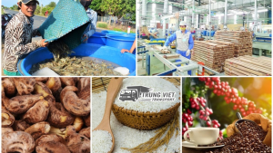 Mở rộng cửa khẩu và thúc đẩy xuất khẩu nông sản Việt Nam sang Trung Quốc: Hướng đi chiến lược cho nông nghiệp bền vững