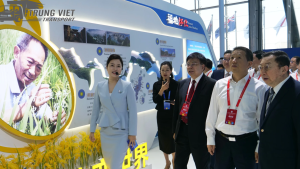 Tăng cường hợp tác kinh tế-thương mại ASEAN-Trung Quốc thông qua RCEP