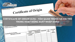 Certificate of Origin (C/O) – Tầm Quan Trọng và Vai Trò Trong Hoạt Động Xuất Nhập Khẩu