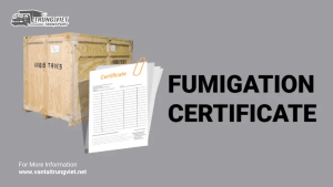 Giấy Chứng Nhận Hun Trùng (Fumigation Certificate) – Tìm Hiểu Chi Tiết