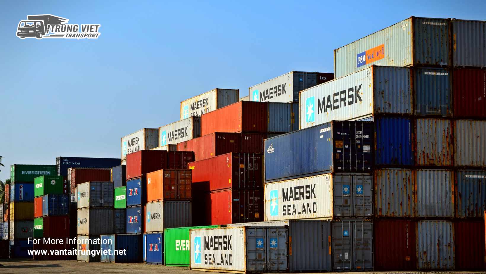 So sánh 2 loại container phổ biến: Container 20 feet và 40 feet