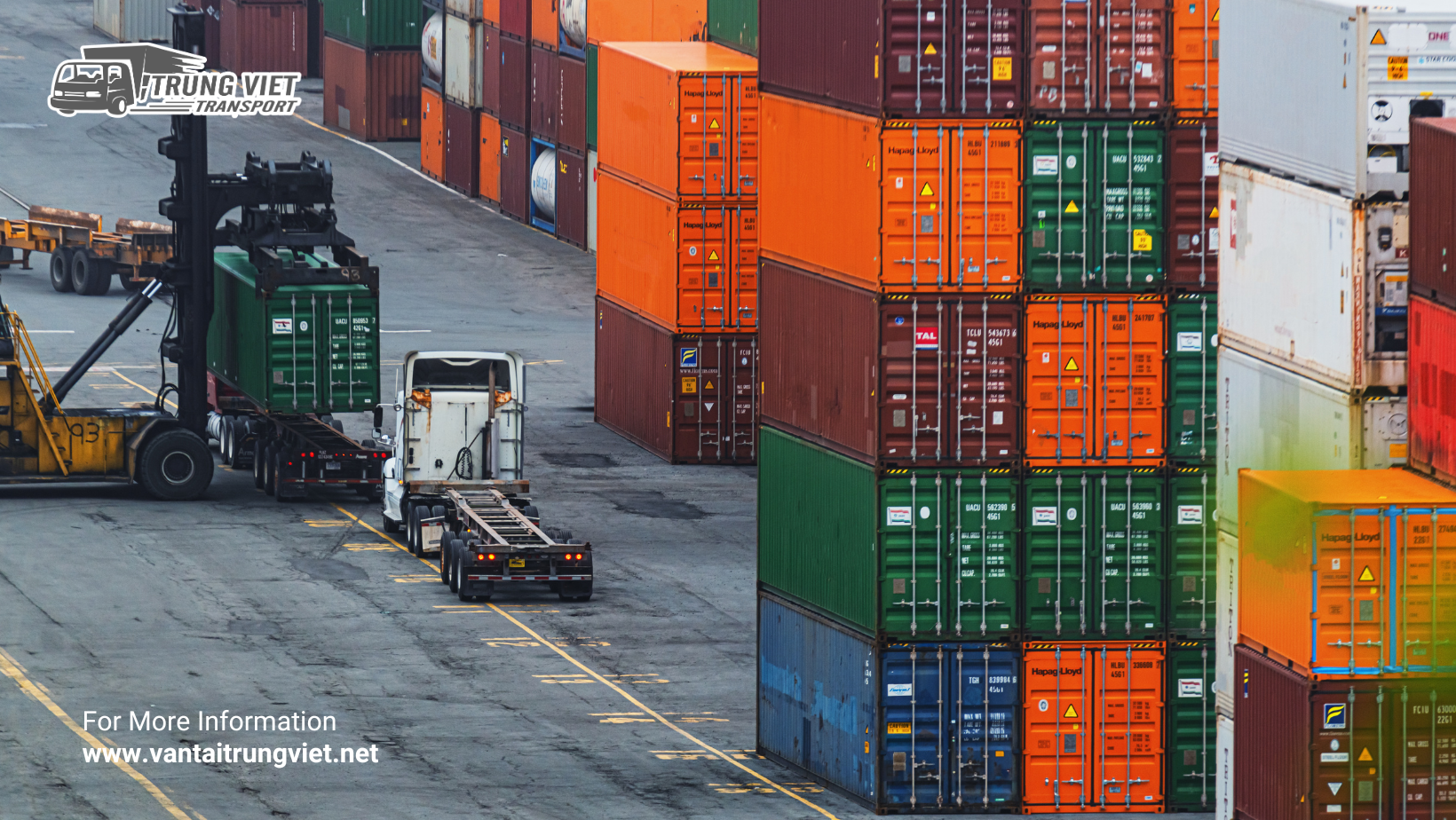So sánh 2 loại container phổ biến: Container 20 feet và 40 feet