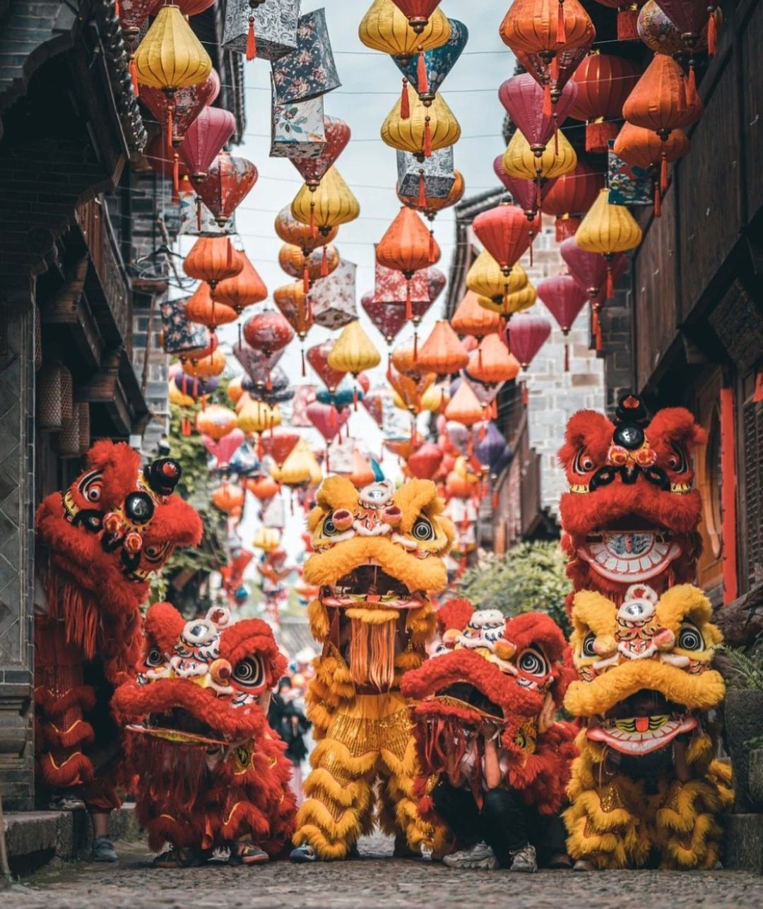 Múa lân hiện đại ngày nay ở Trung Quốc.