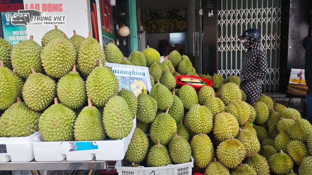 Việt Nam Sắp Dẫn Đầu Xuất Khẩu Sầu Riêng – Triển Vọng Tăng Mạnh