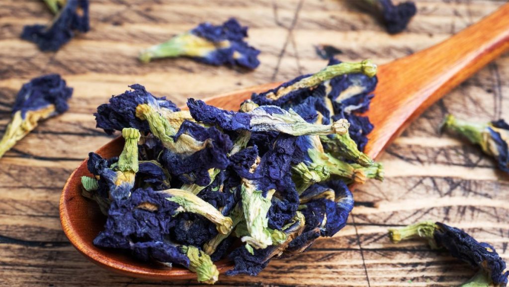 Gửi hoa đậu biếc khô 