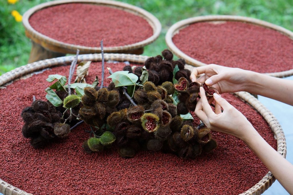 Gửi hạt màu điều